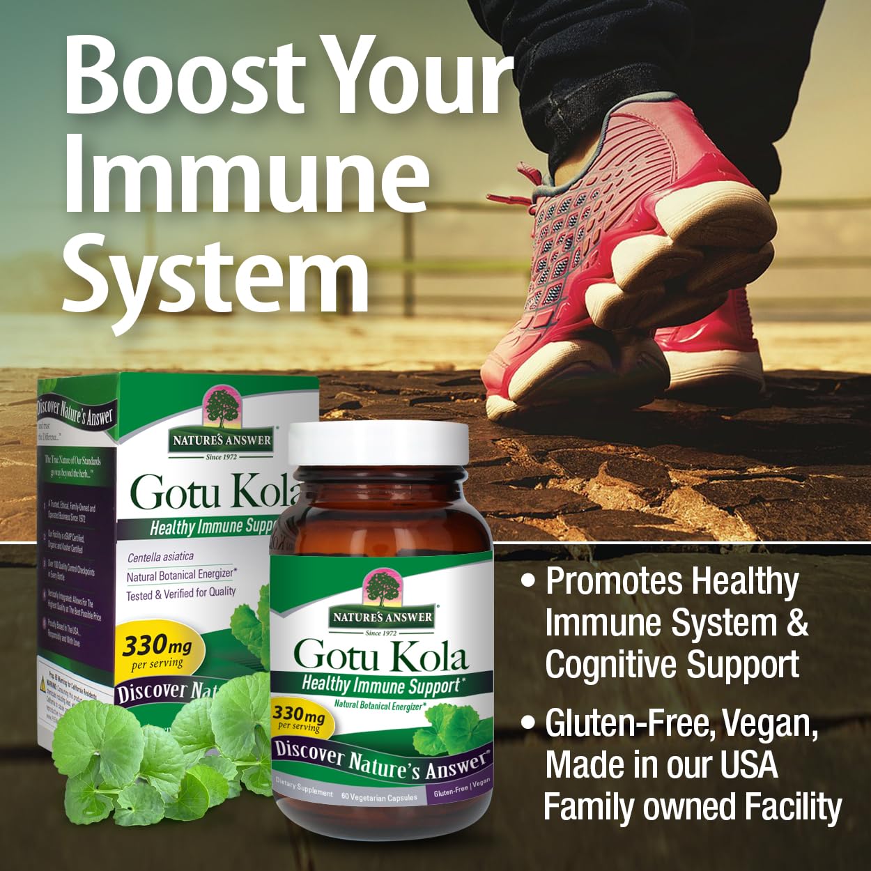 Nature's Answer Gotu Kola Capsule 60 Count