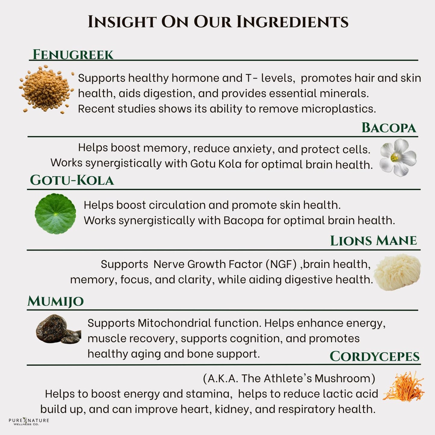 Pure Nature Wellness Co. Focus+Energy Nootropic Capsule, 60 Count
