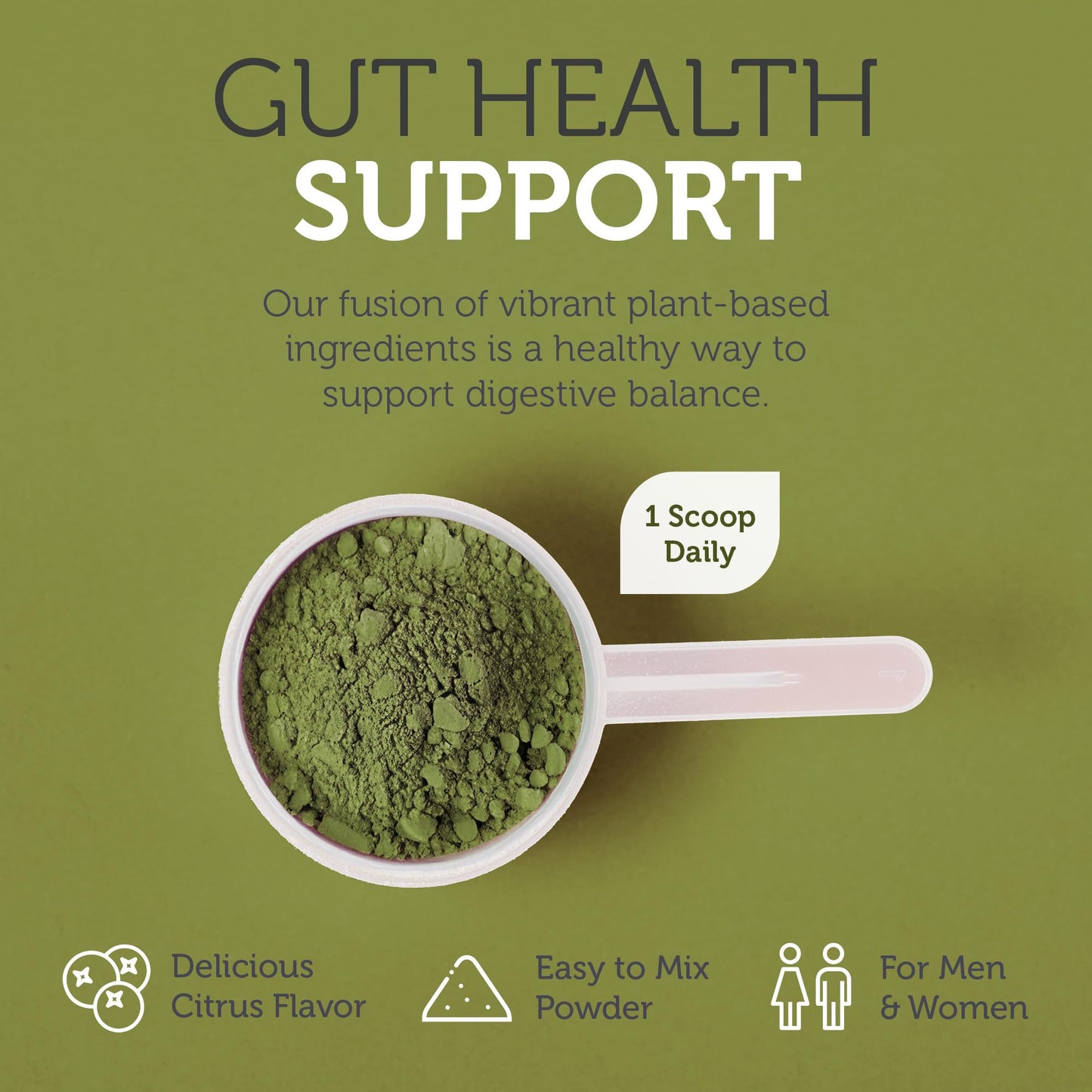 Zahler Core Greens Organic Superfood Powder 12.7 Ounce