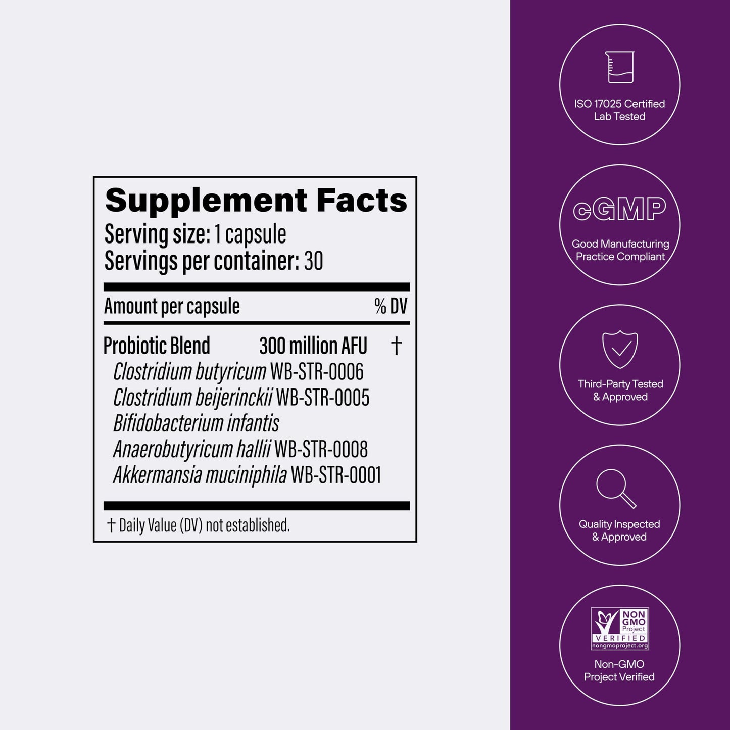 Pendulum Metabolic Daily - Multi-Strain Probiotic with Akkermansia muciniphila to Support Metabolism and Sustain Energy Levels - Capsules, 30 Count