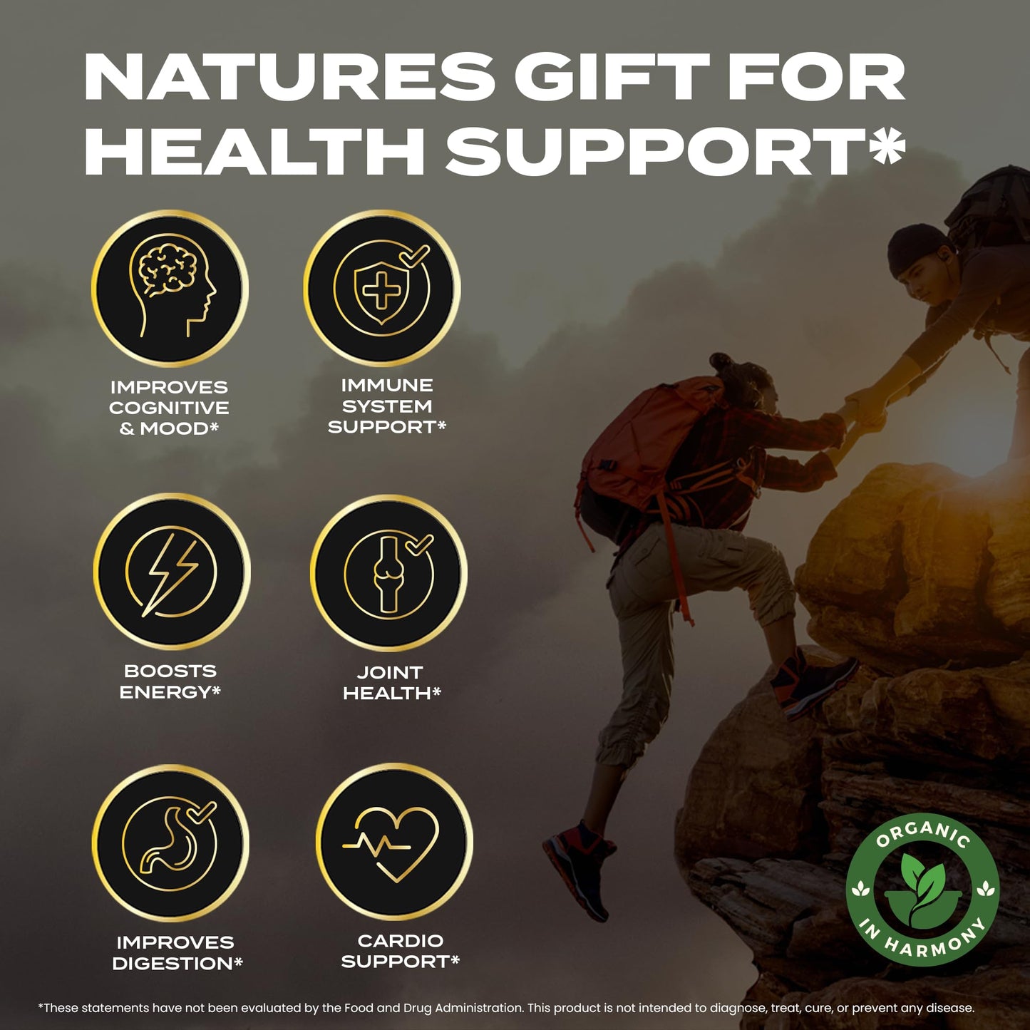 Organic In Harmony Shilajit Gummies 60 Gummies