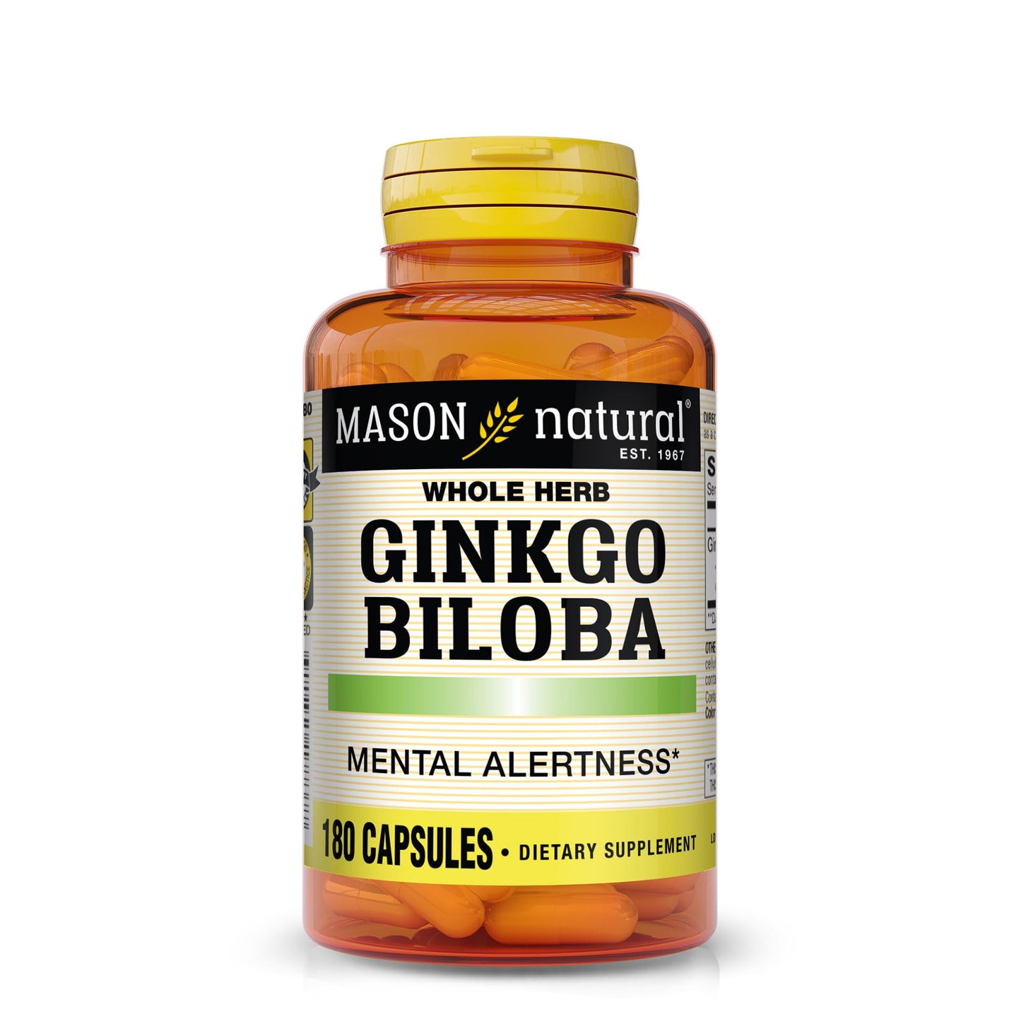 Mason Natural Ginkgo Biloba Leaves Powder 500 mg per Capsule, 180 Capsules