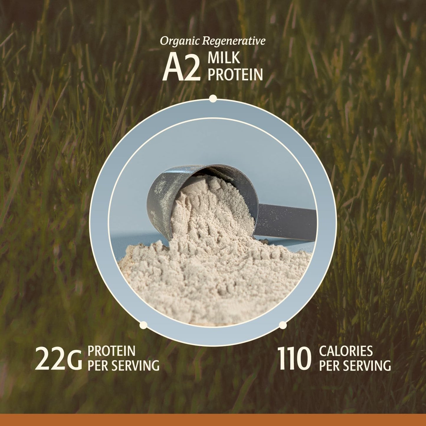 ELEVATE ORGANIC Men's Grass-Fed A2 Regenerative Whey Protein Powder 20.7 oz