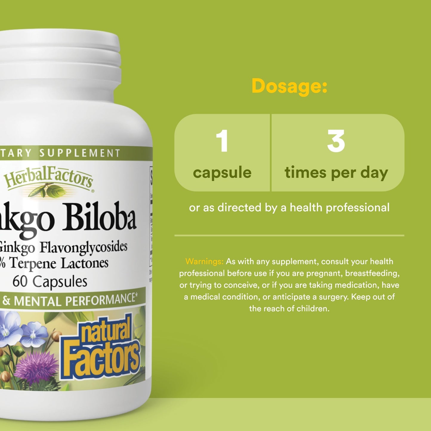 Natural Factors Ginkgo Biloba Capsule, 60 Capsules