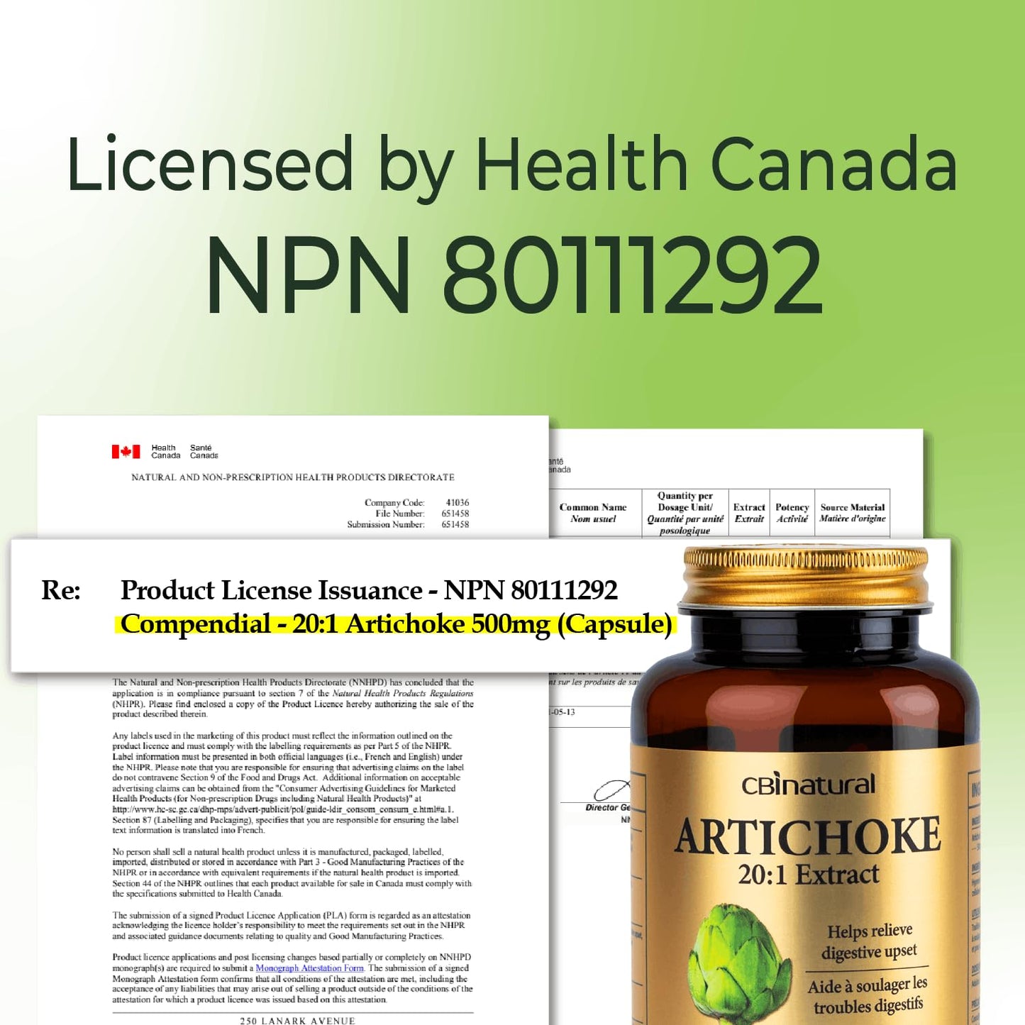 CBI Natural Artichoke 20:1 Extract 500mg Capsules, 120 Count