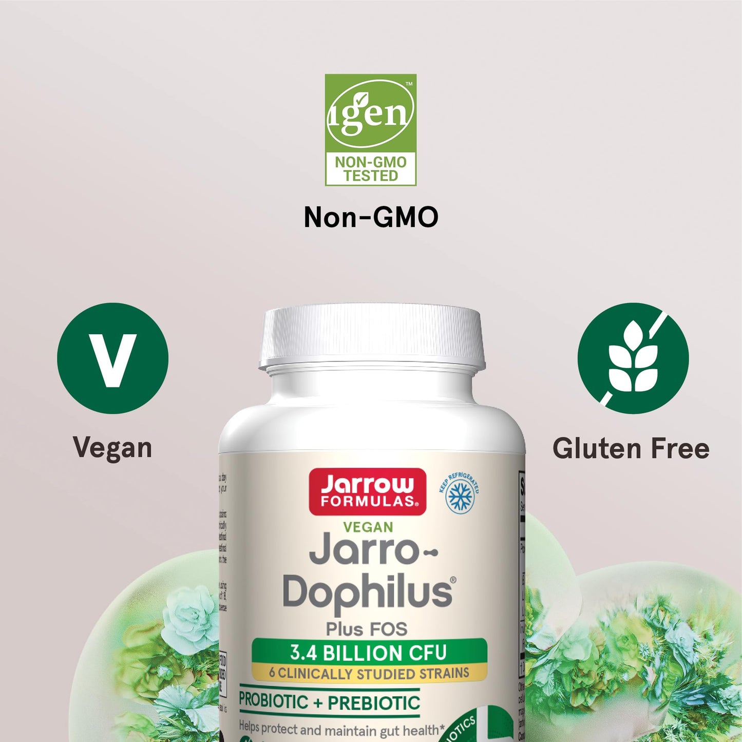 Jarrow Formulas Jarro-Dophilus + FOS - 3.4 Billion CFU Per Serving - Prebiotic & Probiotics Supplement for Immune & Intestine Support - Up to 100 Servings Capsules 100 Count