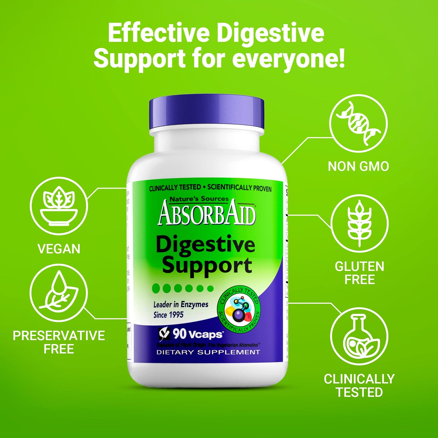 AbsorbAid Digestive Support Capsules, 90 Count
