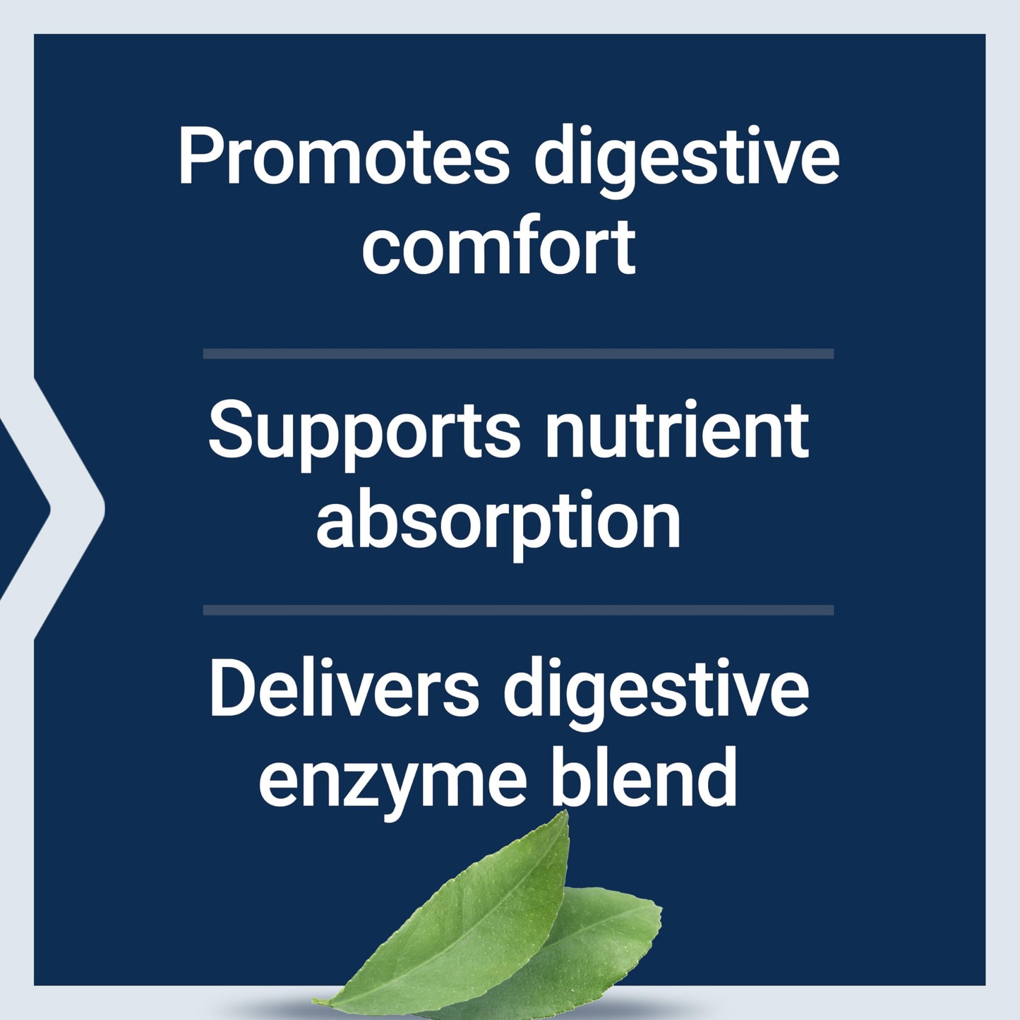 Life Extension Extraordinary Enzymes 60 Capsules