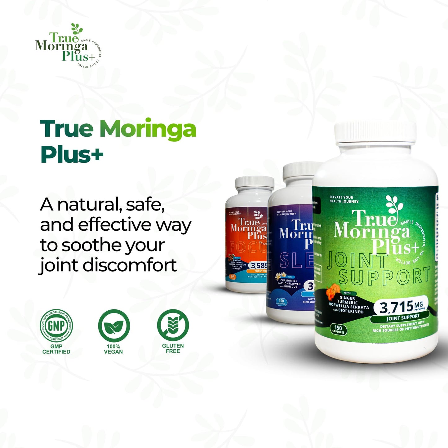 True Moringa Plus+ Focus Support Supplement 10:1 Extract Capsule, 150 Capsules