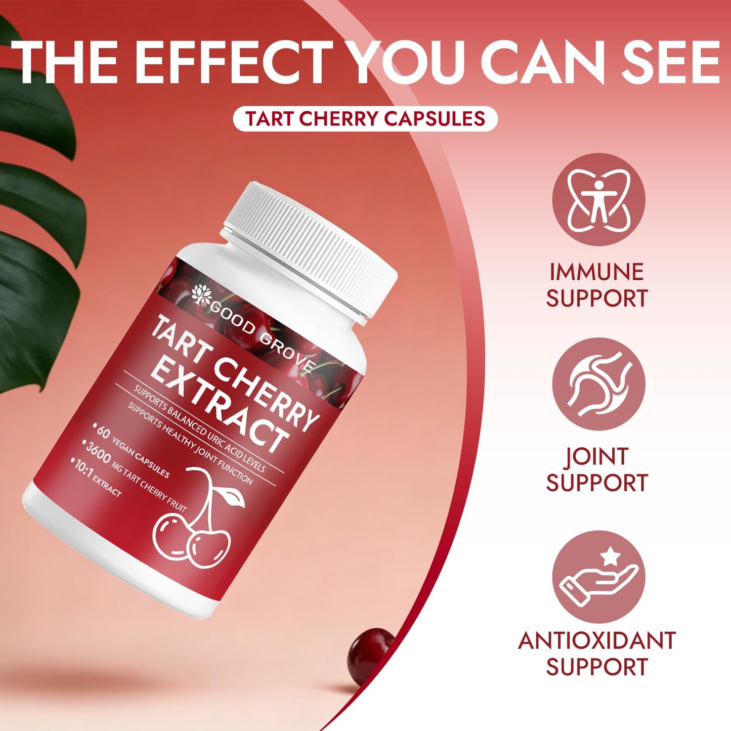 Enerra Good Grove Tart Cherry Extract Capsules 60 Count