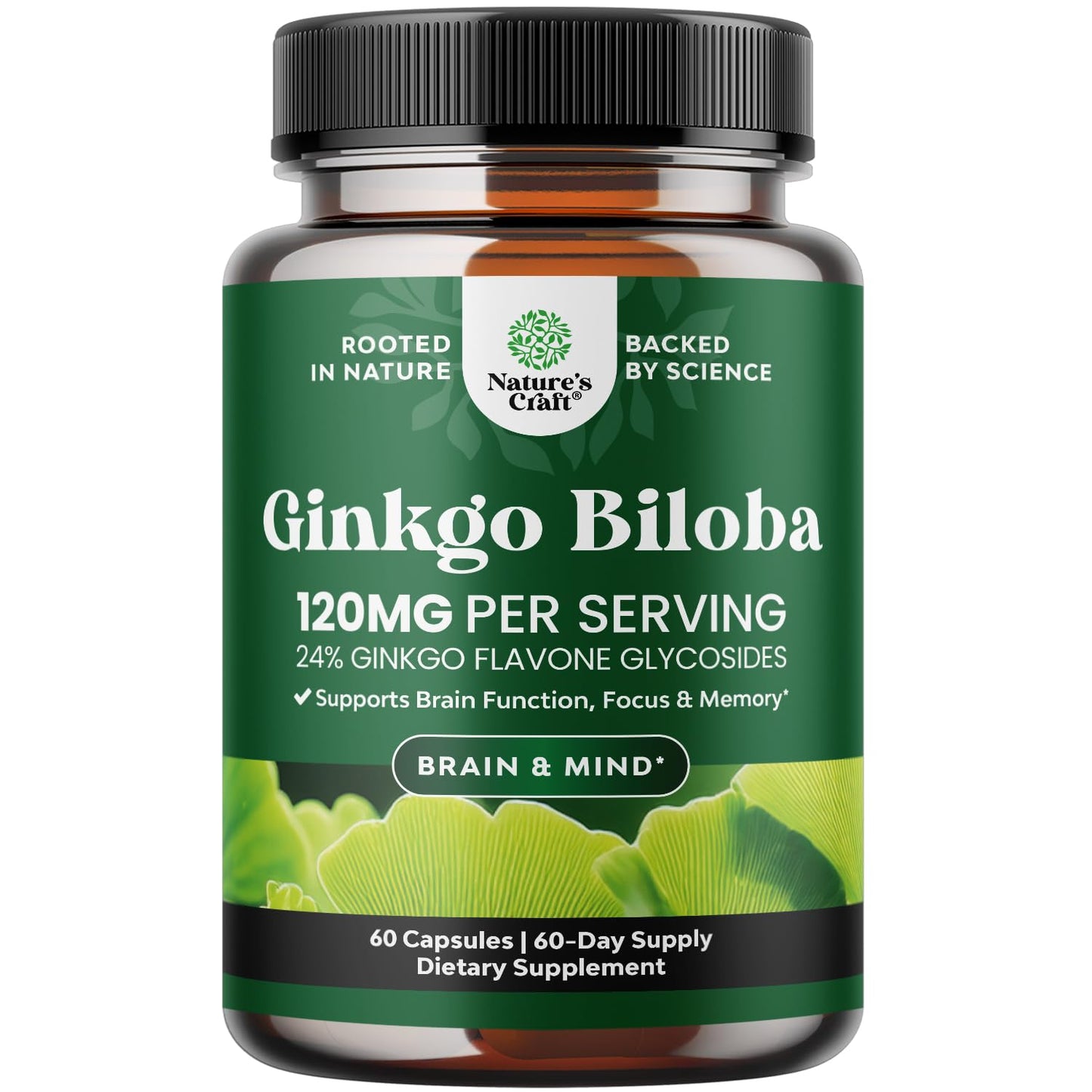 Natures Craft Ginkgo Biloba Capsules 60 Count