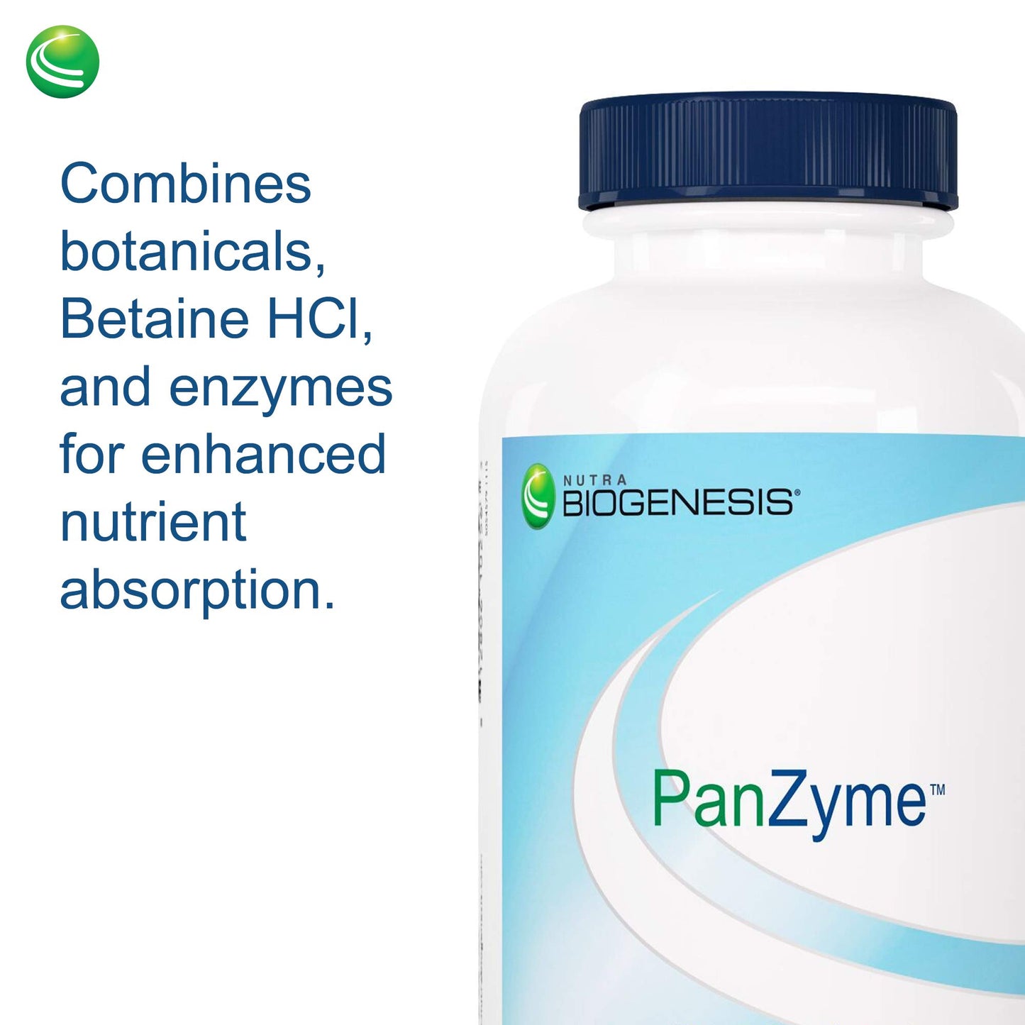 Nutra BioGenesis PanZyme Betaine HCl with Pepsin, Pancreatin, Lipase and Protease, Cellular Energy, Nervous System and Metabolic Health Support, 180 Capsules