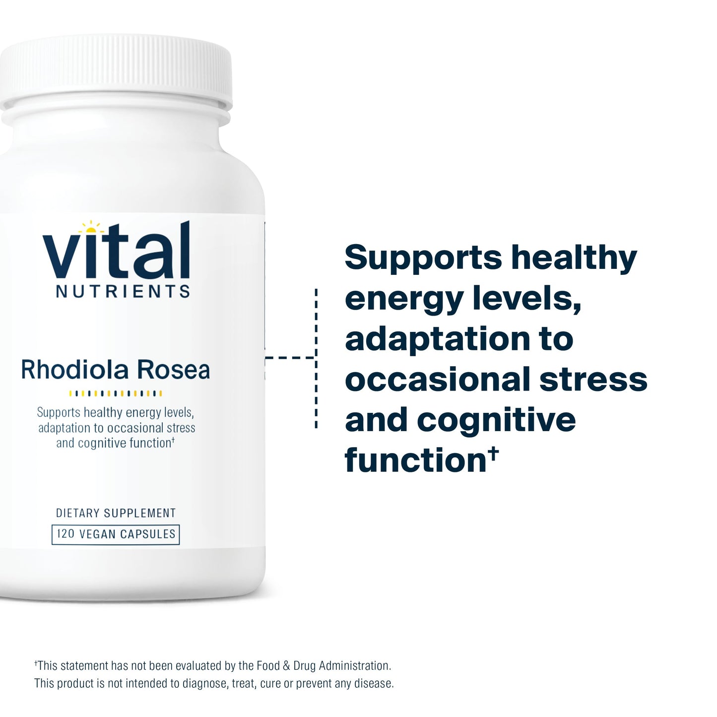 Vital Nutrients Rhodiola Rosea 120 Capsules
