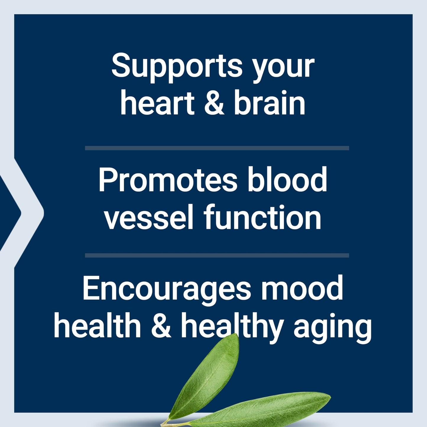 Life Extension Super Omega-3 EPA/DHA Fish Oil with Sesame Lignans & Olive Extract Softgels, 120 Count