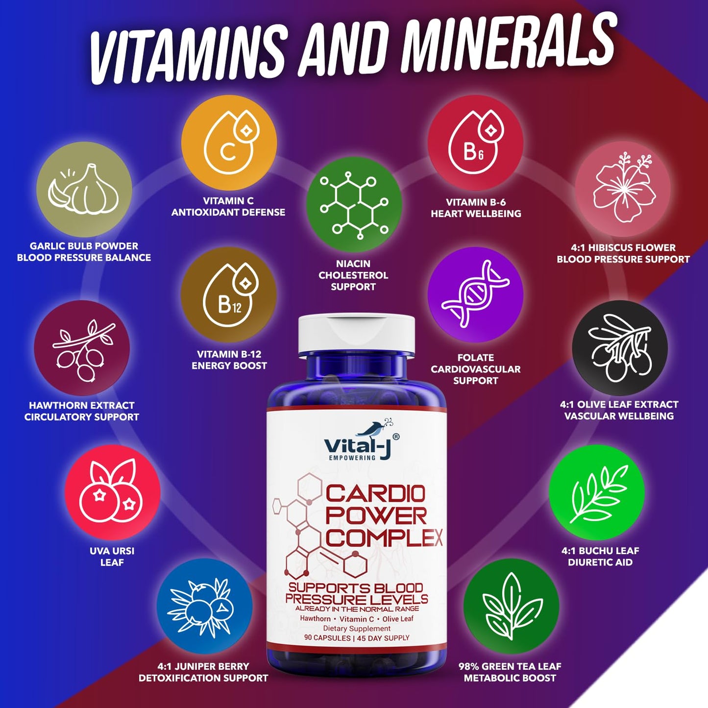 Vital-J Empowering Cardio Power Complex Premium Blood Pressure Support Supplement with Garlic, Hawthorn, Hibiscus, Olive Leaf - 13 Natural Ingredients, 90 Capsules