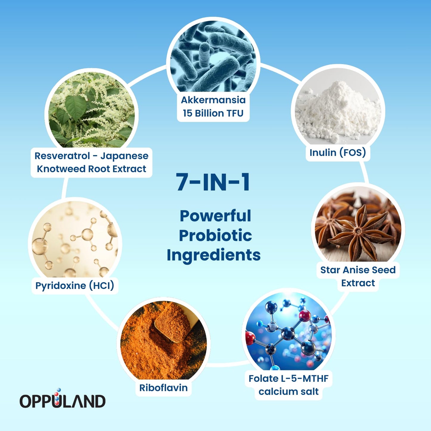 oppuland AKK Pro Akkermansia Muciniphila Probiotic Supplement 60 Capsules