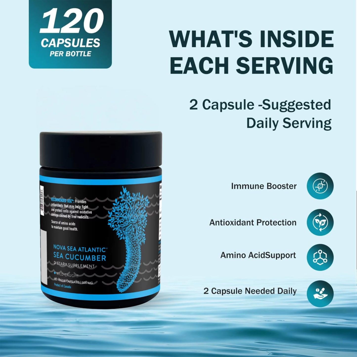 Nova Sea Atlantic Sea Cucumber Supplement 360 Capsules