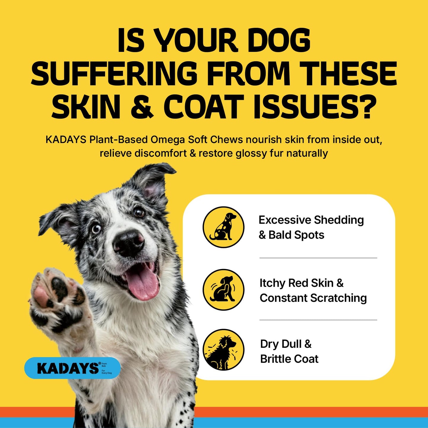 Kadays Omega 3 Skin and Coat Supplement for Dogs Chews, 200