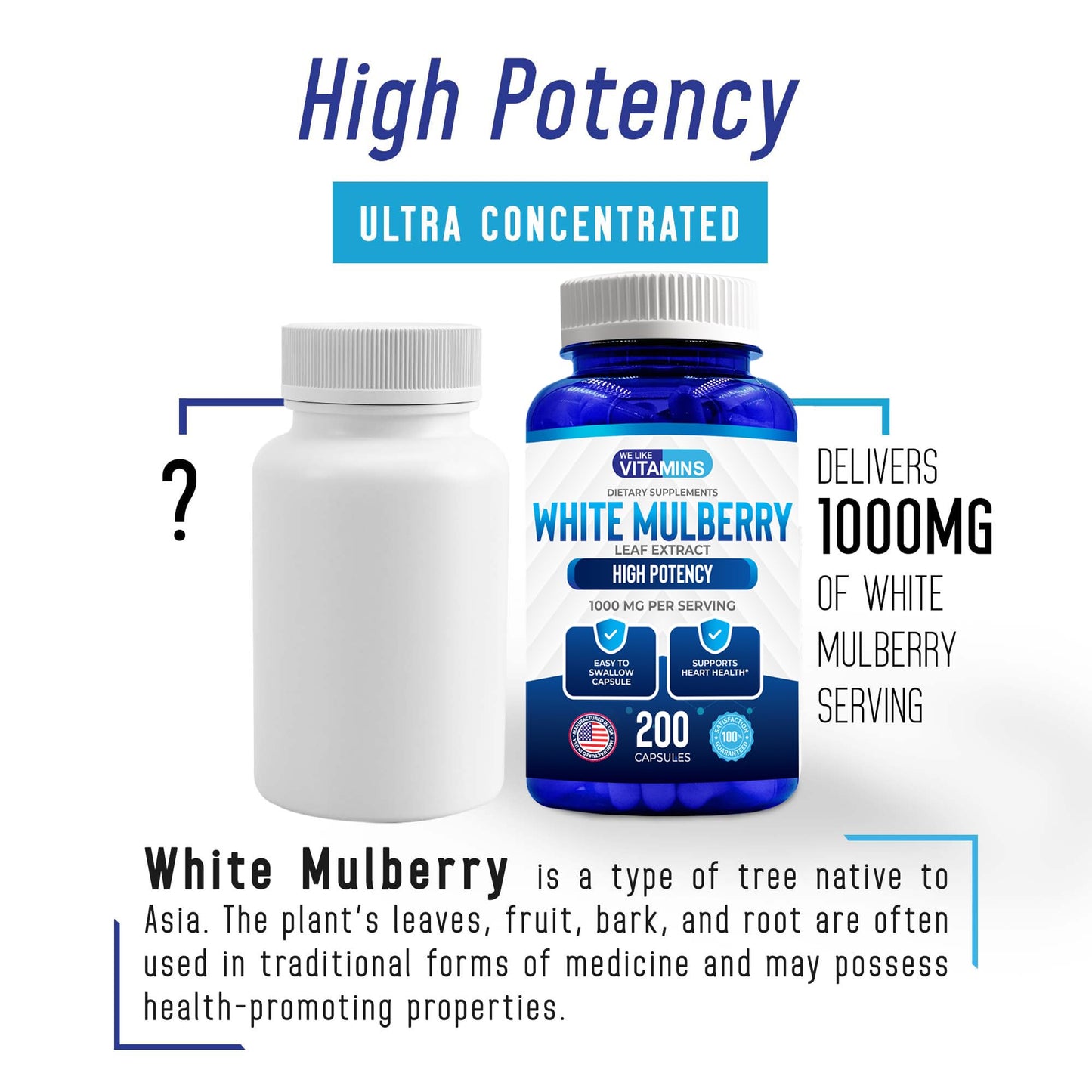 We Like Vitamins White Mulberry 1000mg Vegan Capsules, 200 Count