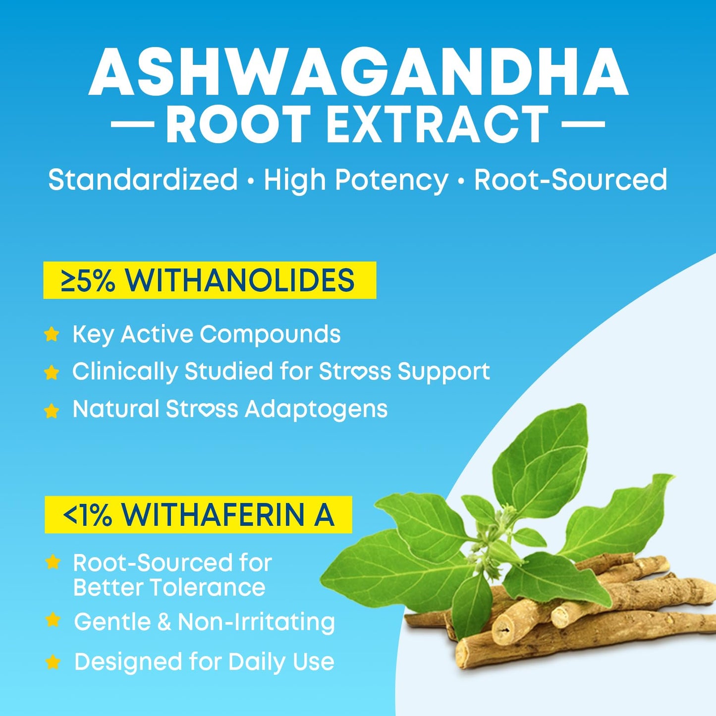Vazatisi Ashwagandha Gummies with L-Theanine, GABA, Magnesium & Vitamin D3 180 Count