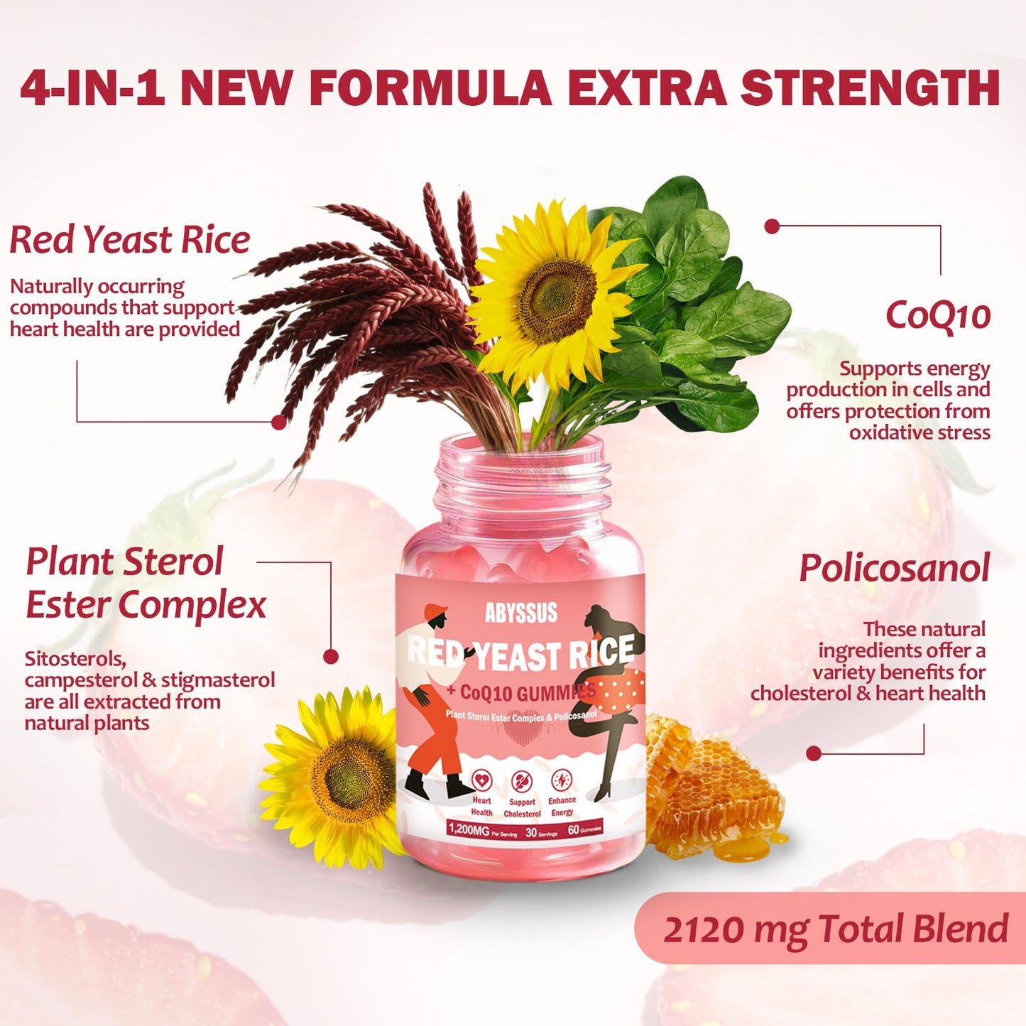 ABYSSUS Red Yeast Rice with CoQ10 Gummies, 60 Count