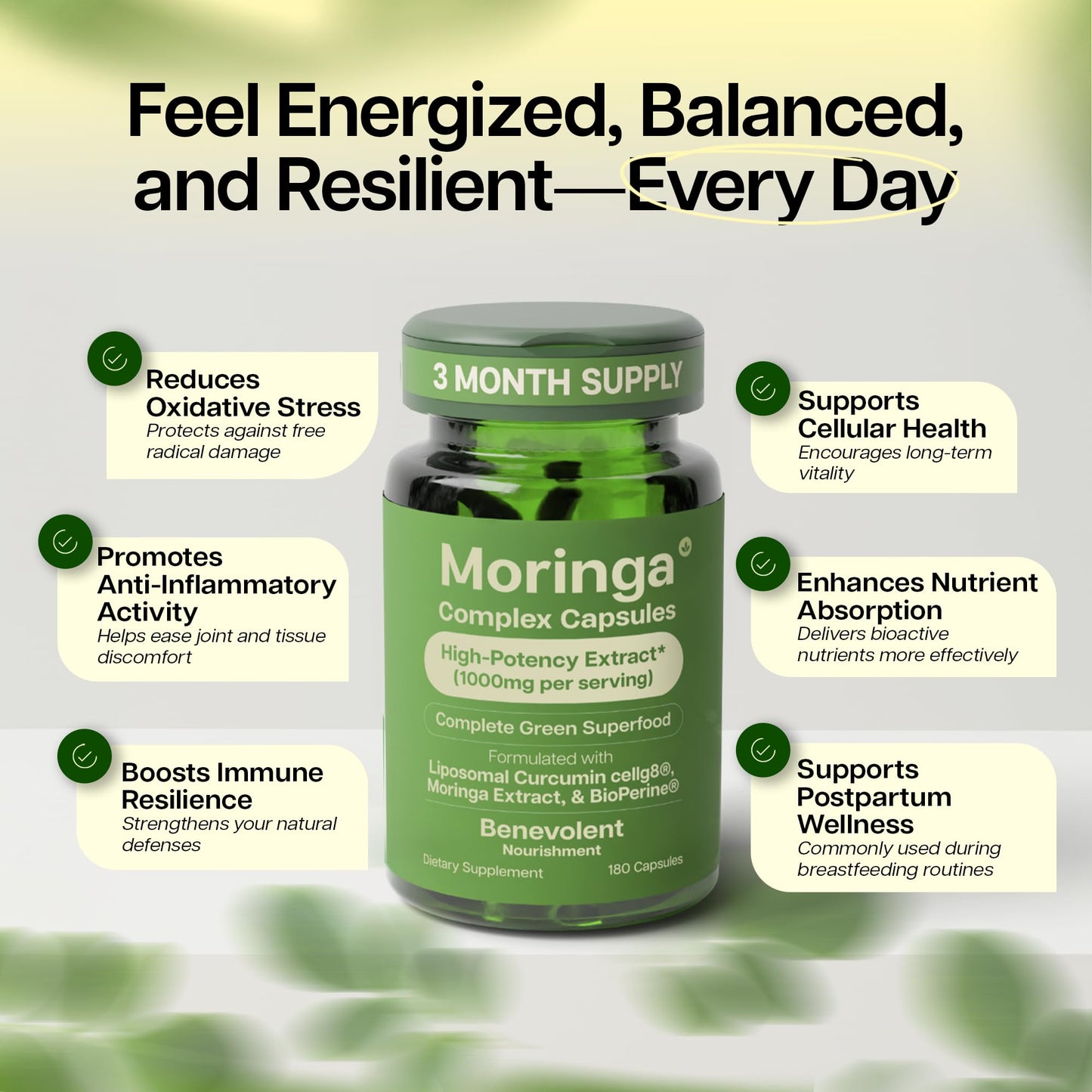 Benevolent Nourishment Moringa Capsules with Liposomal Curcumin & BioPerine 180 Count Capsules