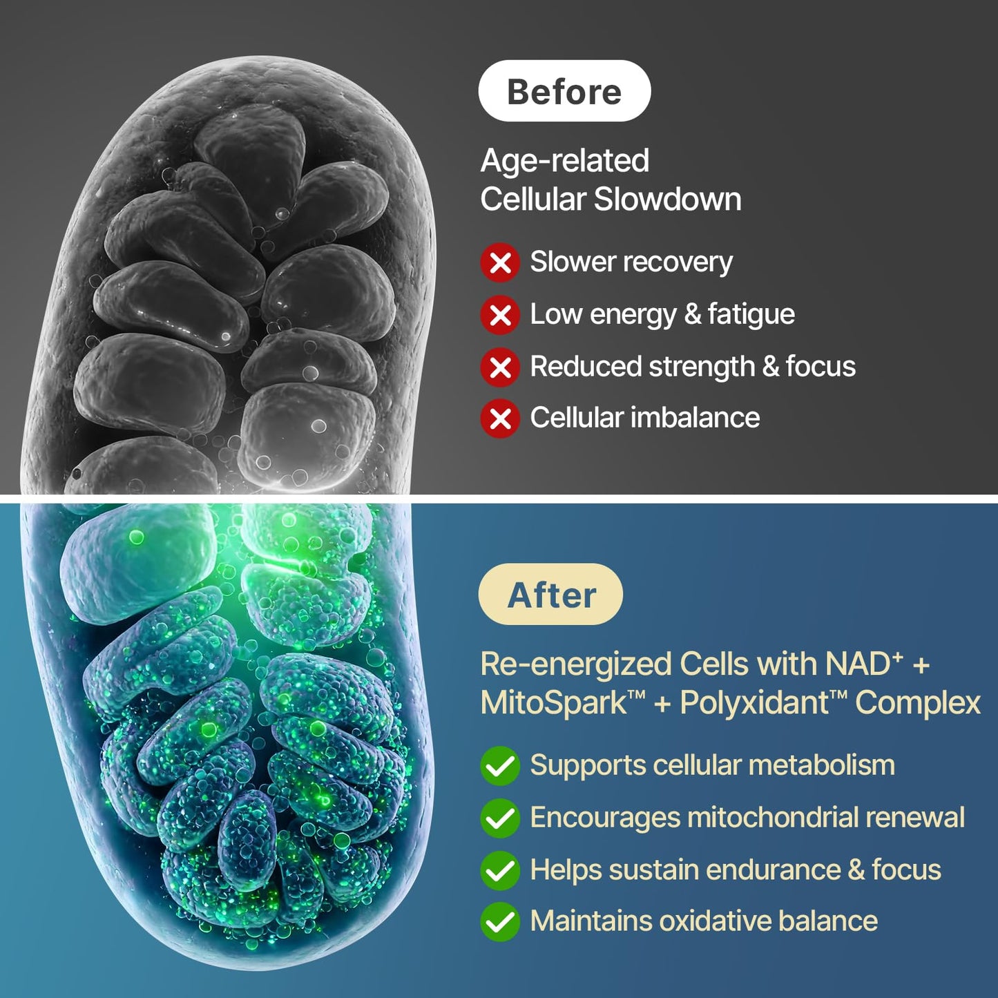 SYZY GENICS NAD+ Supplement 1600mg Extra Strength Liposomal NMN Alternative with Resveratrol, Urolithin A, CoQ10, Quercetin & ALA - Mitochondrial Energy & Anti-Aging, Cell Regeneration, 120 Softgels