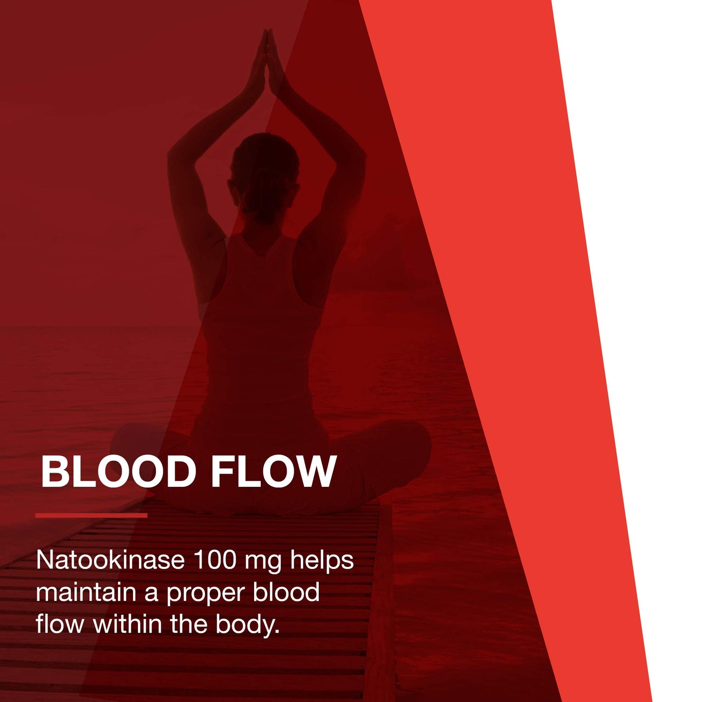 PROTOCOL FOR LIFE BALANCE Nattokinase 100mg Capsule, 60 Veg Caps