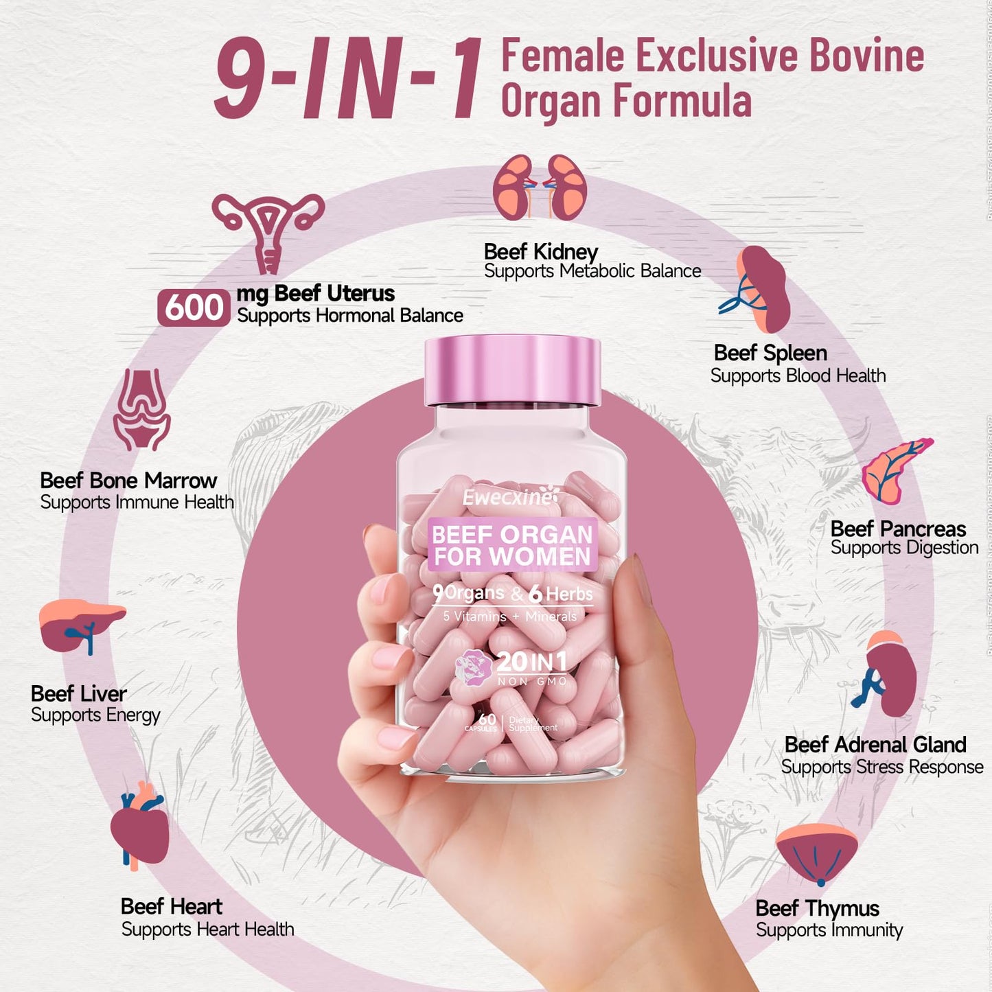 Ewecxine Beef Organs Supplement Capsules 60 Count