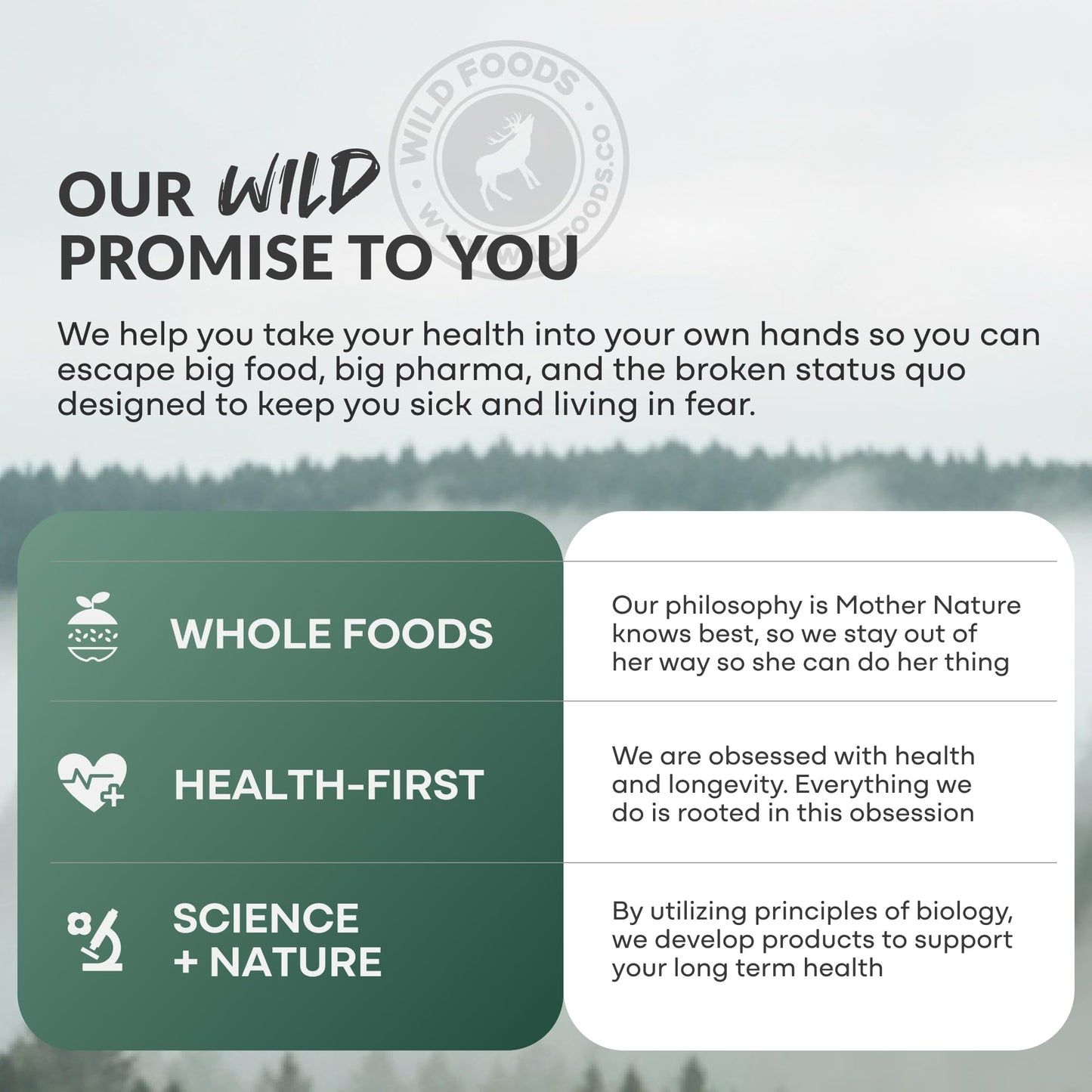 Wild Foods Wild Grass Fed Beef Organ Supplement for Men Prostate Health Capsules 90