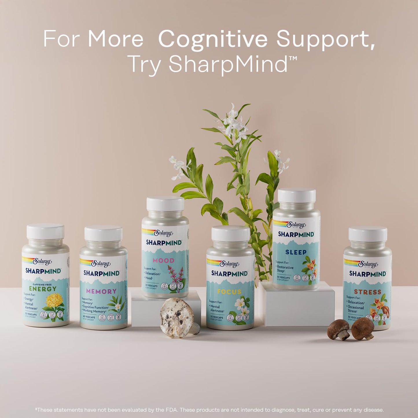 SOLARAY Ginkgo Biloba Extract with Gotu Kola Capsules, 30 VegCaps