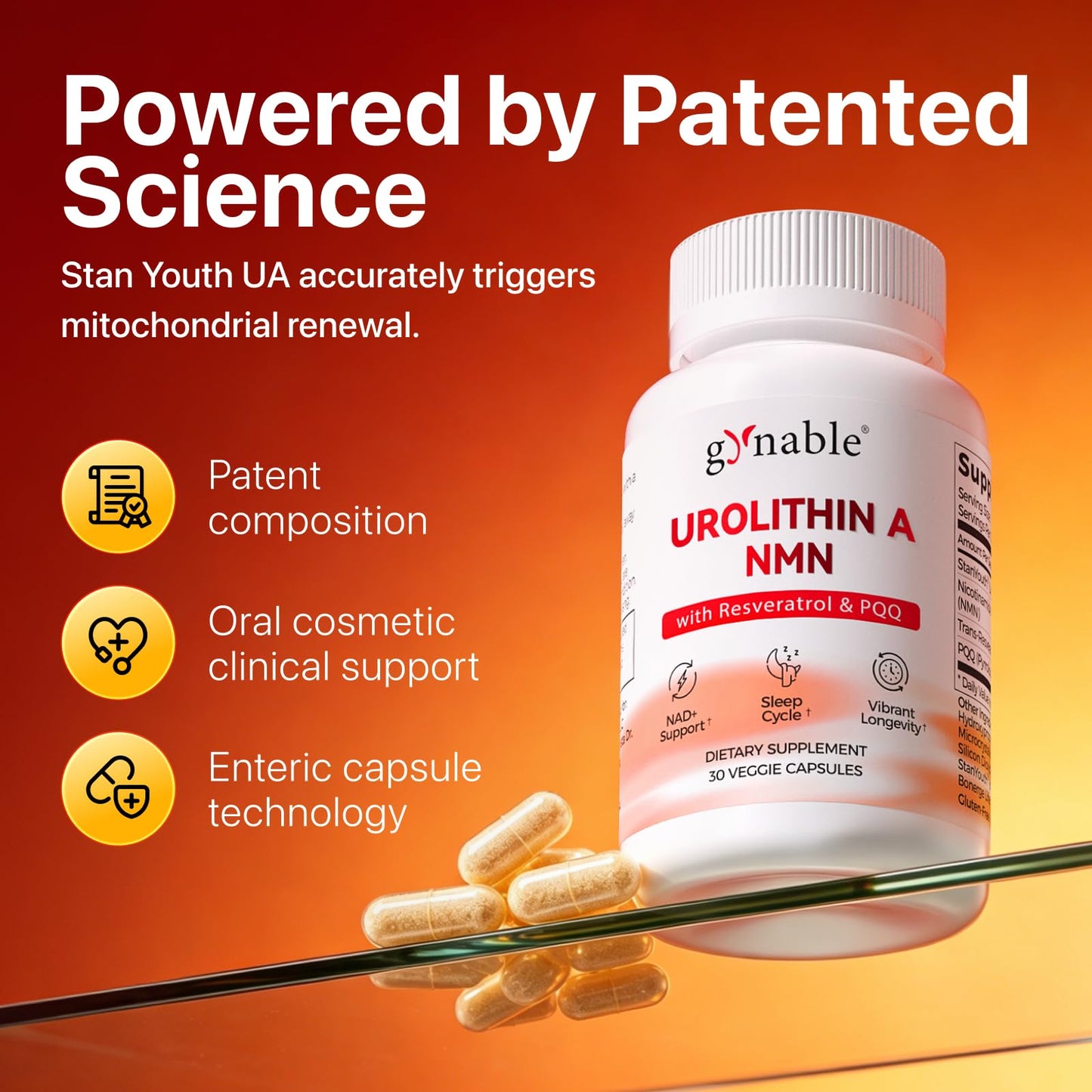 Vevoec Gynable Urolithin A Supplement with NMN Trans-Resveratrol & PQQ 4-in-1 Complex Capsule, 60 Count
