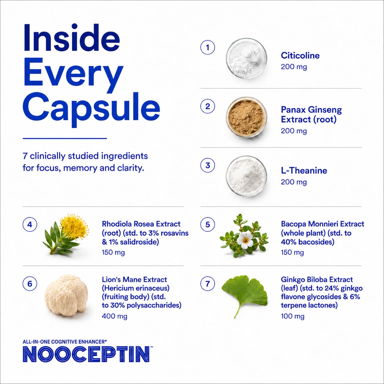 NOOCEPTIN Nootropic Brain Supplement, Stimulant-Free Cognitive Enhancer with Citicoline, Lion's Mane & Bacopa for Focus, Memory & Mental Clarity, Caffeine-Free Brain Support, 90 Capsules