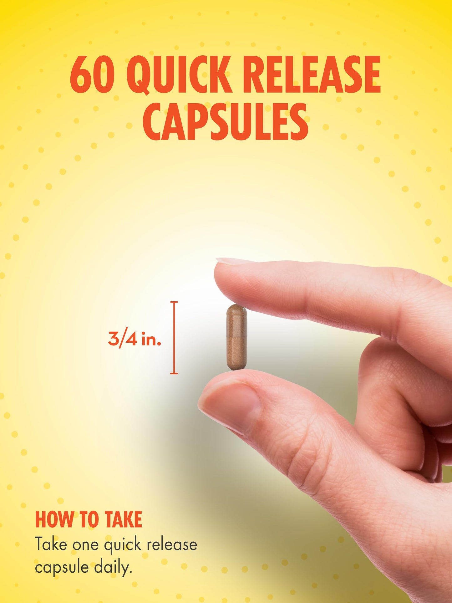 Sundance Ginkgo Biloba Capsules 60 Count