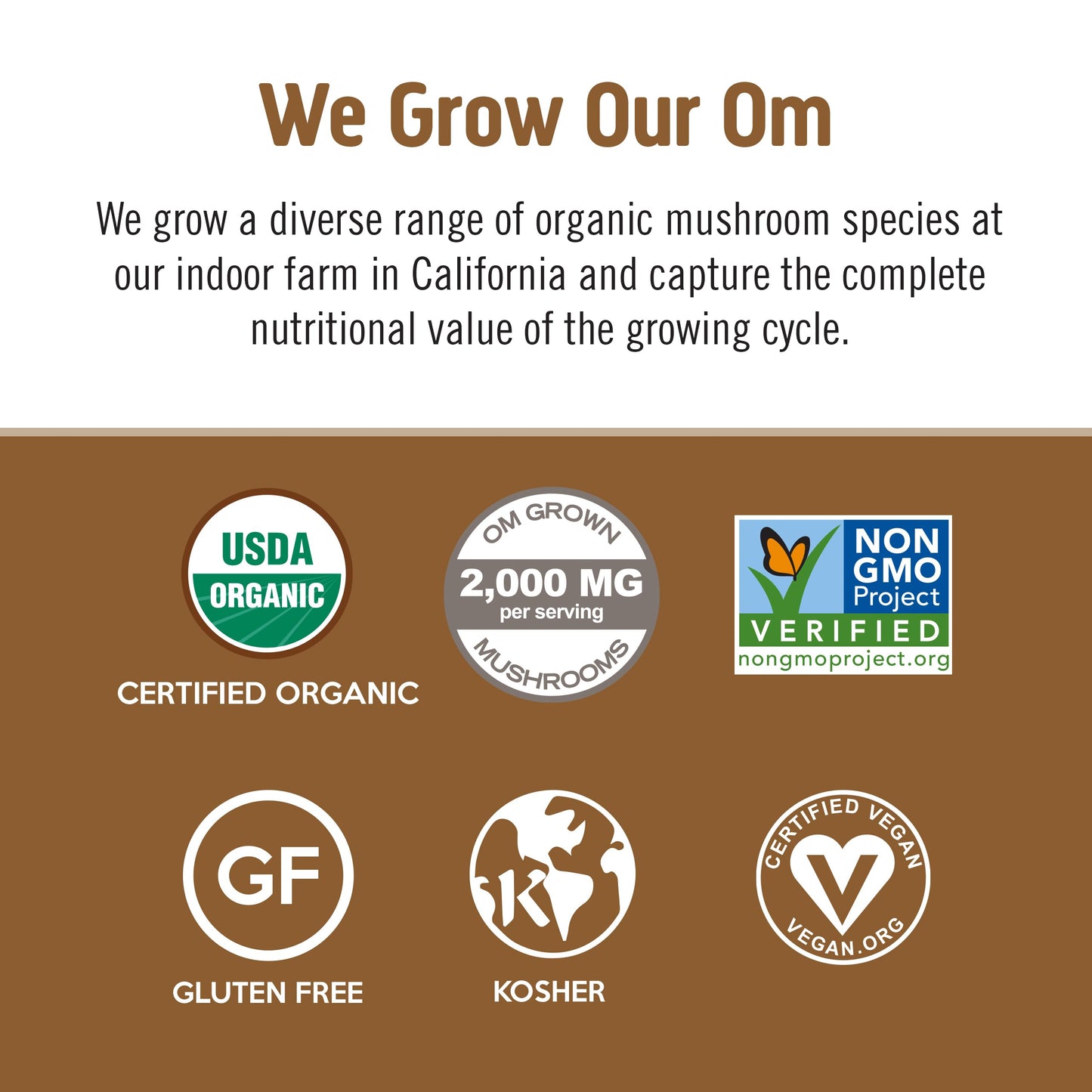 OM Mushroom Superfood Coffee Latte Blend Mushroom Powder, Lion's Mane, Cordyceps, Reishi, Chaga, Energy & Mental Clarity Support Supplement, 8.47 oz