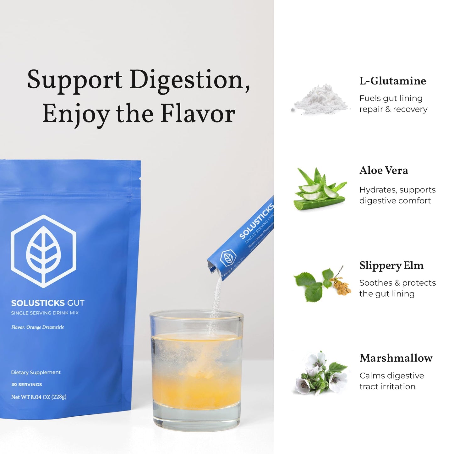 Terra Health Essentials Solusticks Gut - Leaky Gut Supplement - Complete Stomach Lining Repair, Digestive Support & Muscle Recovery - Slippery Elm, Licorice, L Glutamine Powder 8.04 Ounce