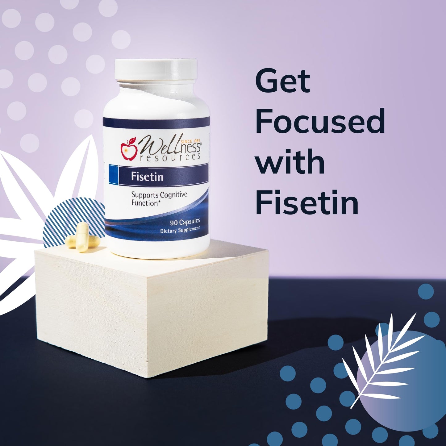 Wellness Resources Fisetin Capsule 90 Capsules