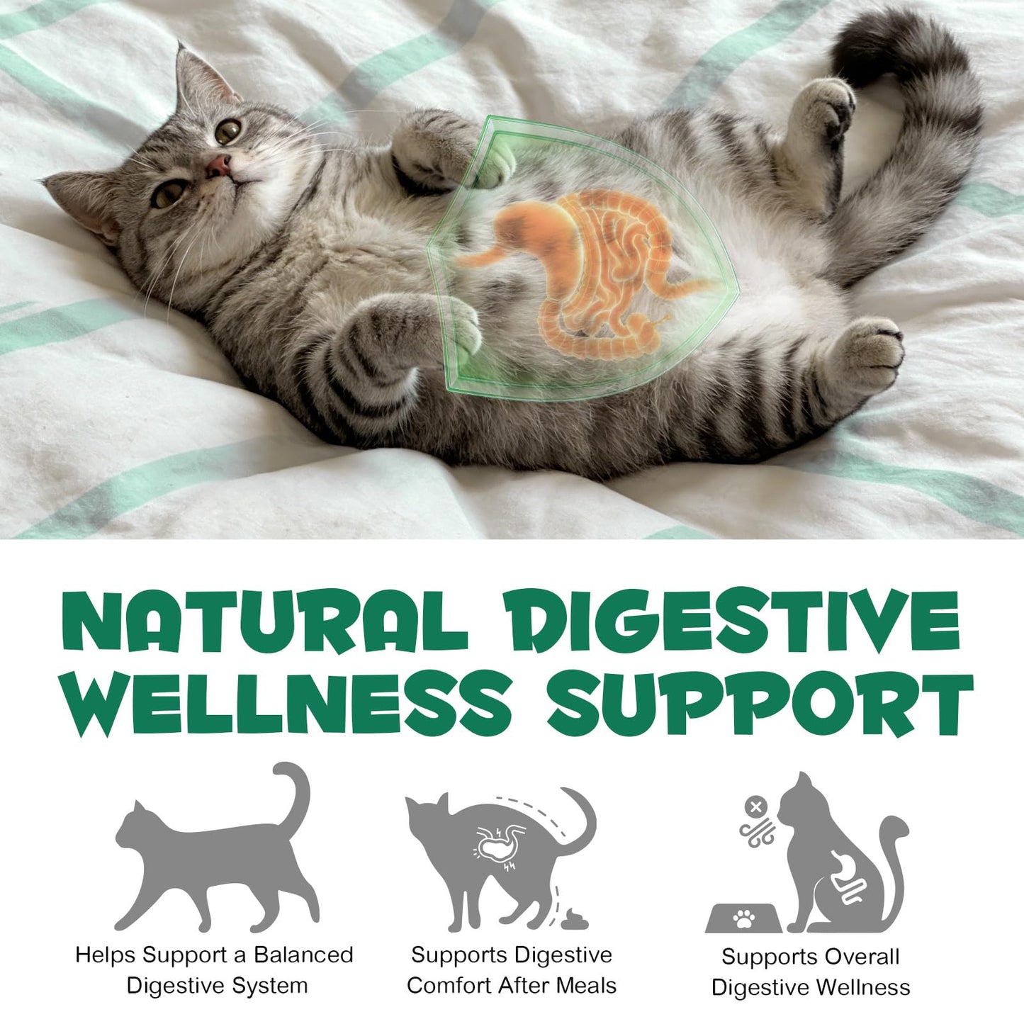 AIQIUSHA Activated Charcoal Powder for Dogs & Cats, 120 g