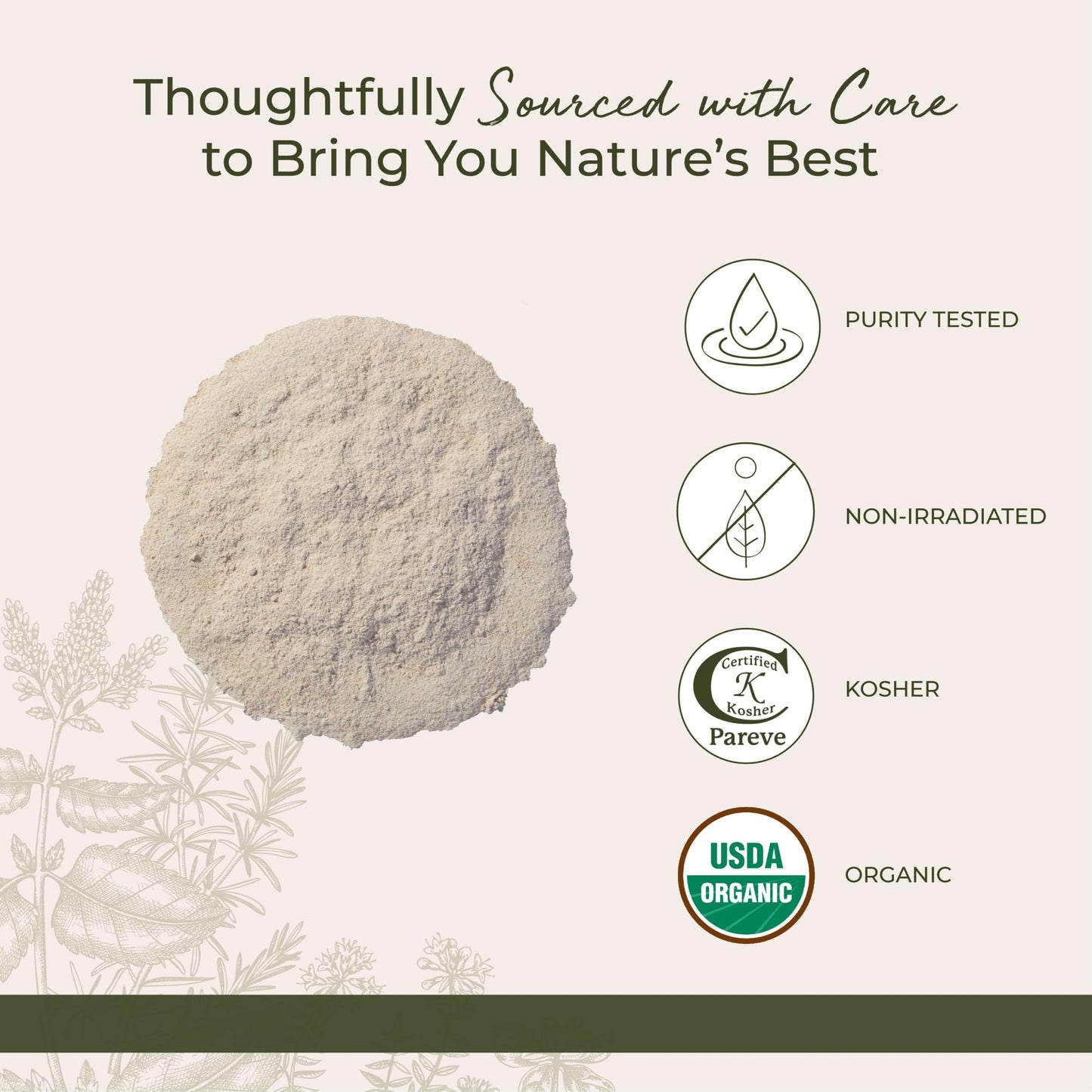 Starwest Botanicals Organic Astragalus Root Powder 16 oz