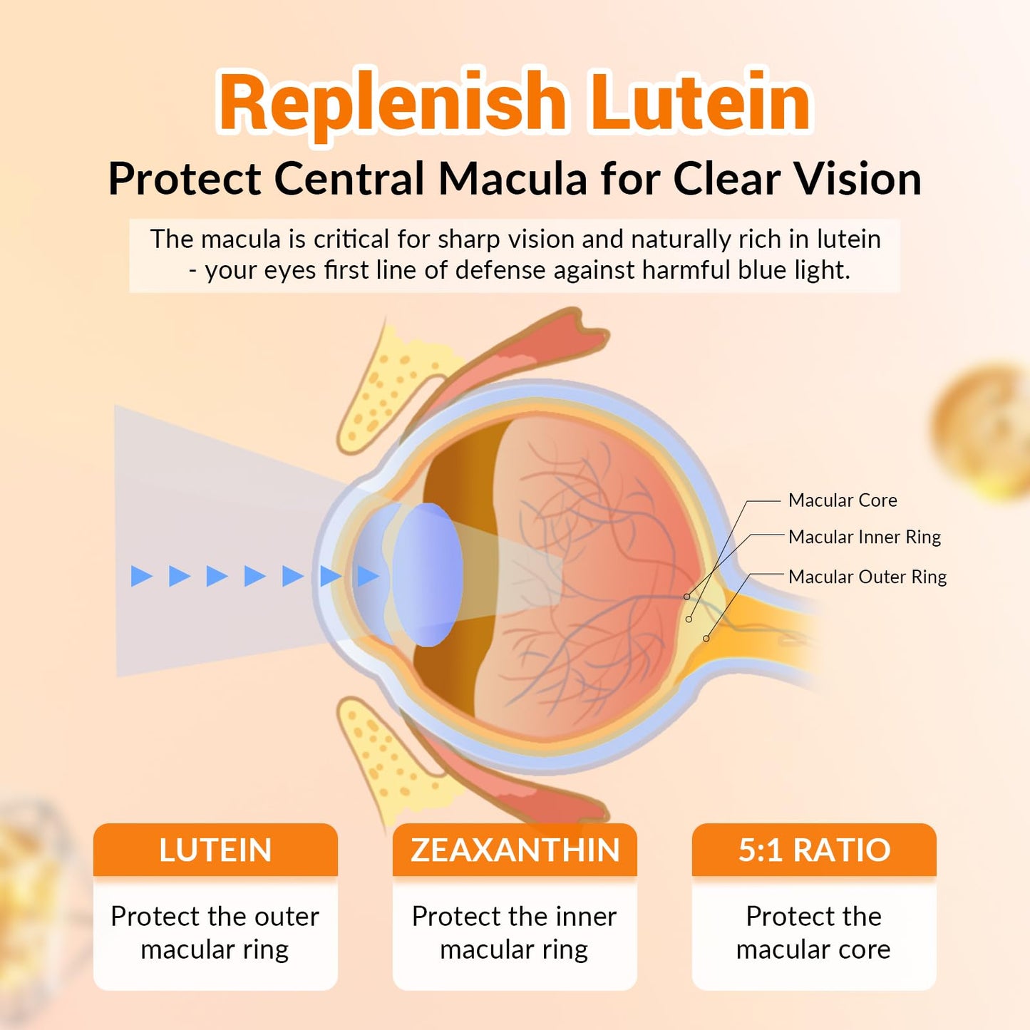 JulyDeer Lutein and Zeaxanthin Gummies Eye Health Support, 120 Count