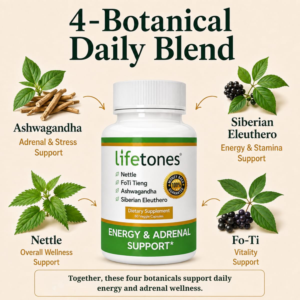 Life Tones Energy & Adrenal Support – Ashwagandha, Siberian Eleuthero, Nettle & FoTi – Herbal Adrenal & Natural Energy Supplement – Non-GMO, Sugar-Free, Caffeine-Free – 60 Vegan Capsules