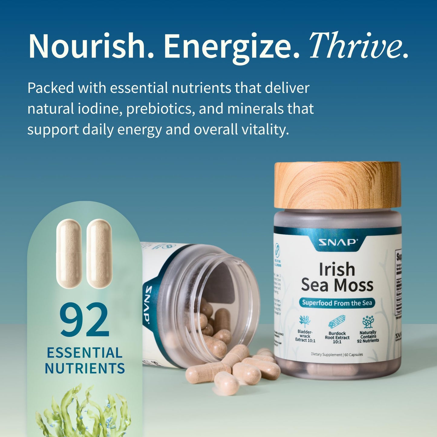 Snap Supplements Irish Sea Moss with Bladderwrack, Burdock Root & Iodine – Natural Sea Moss Supplement to Support Gut Health, Energy & Healthy-Looking Skin, 60 Capsules