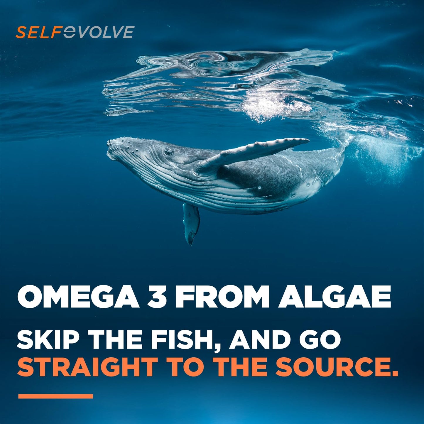 selfevolve Algae Omega 3 1,500mg - Vegan Supplement with Patented Life's Omega 3 - High Dose EPA & DHA - Better Than Fish Oil - Supports Heart, Brain, Joint Health - 90 Capsules
