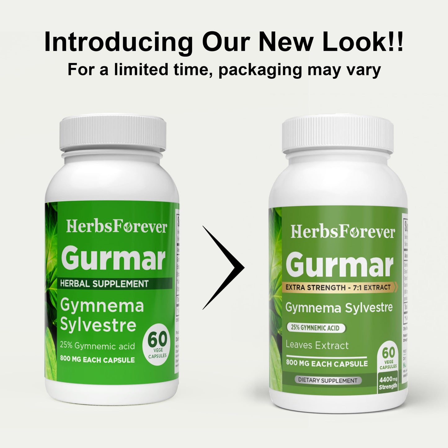 Herbsforever Gurmar Capsules 60 Count