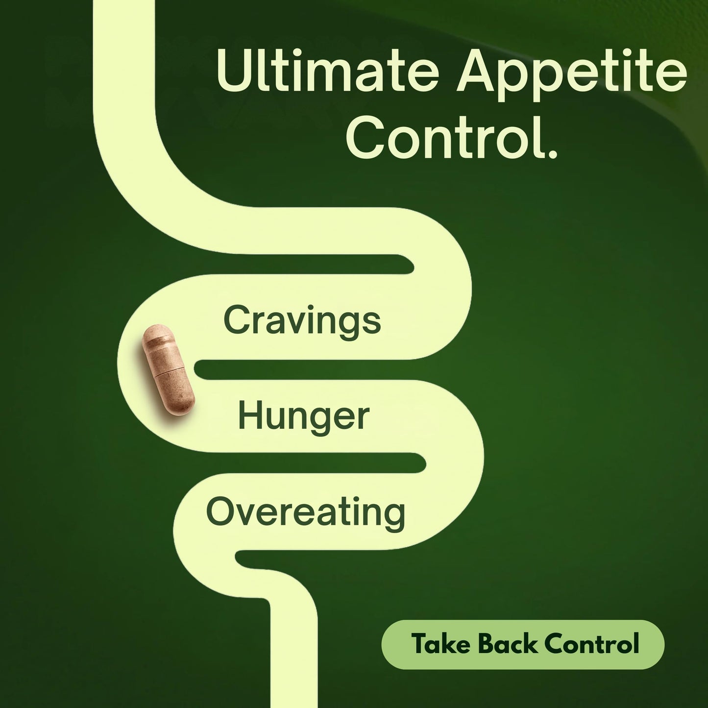 FLOWNUTRITION Natural Appetite Suppressant Capsule 60 Count