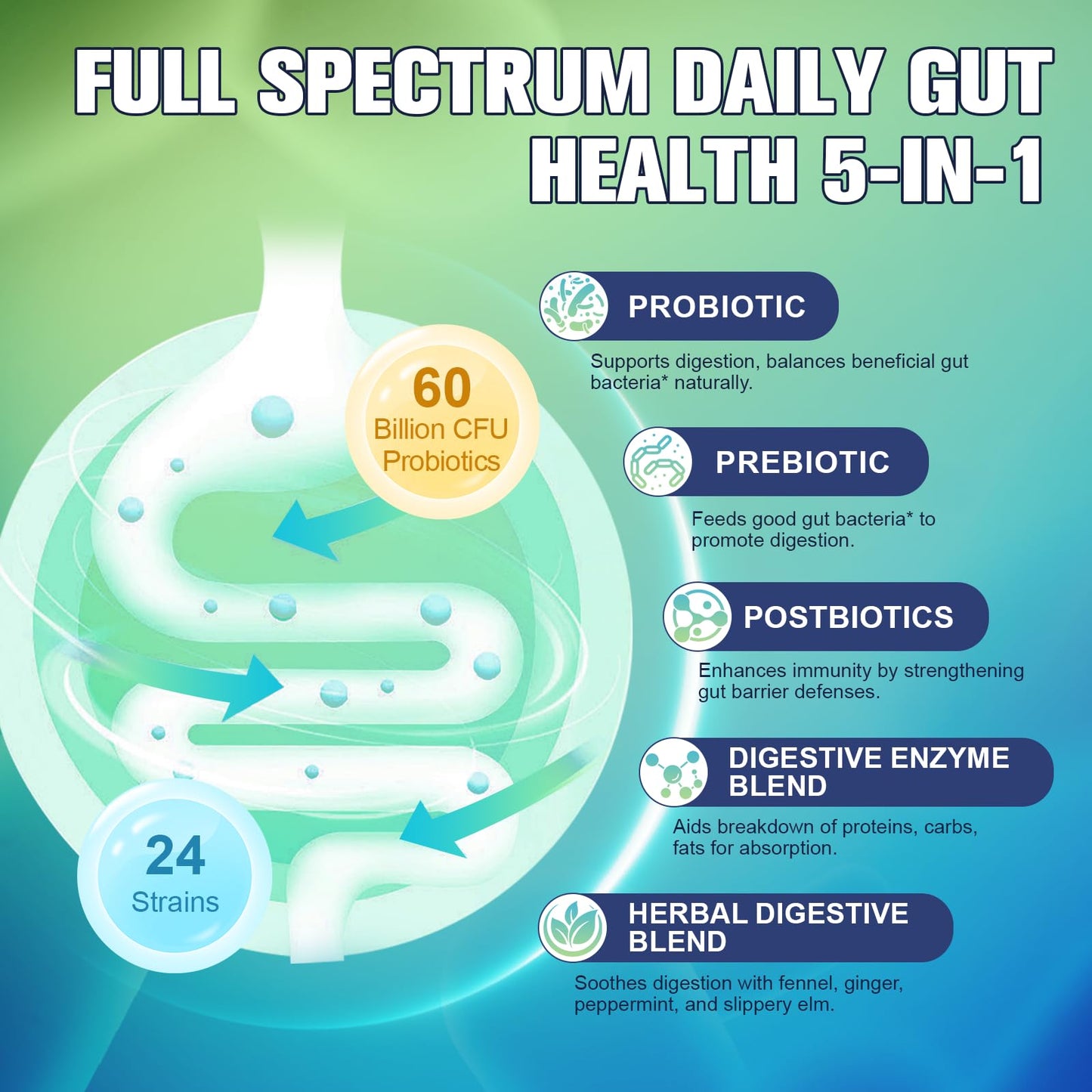 Totaria 5-in-1 Probiotic Prebiotic & Postbiotic 60 Billion CFU Capsules 120 Count