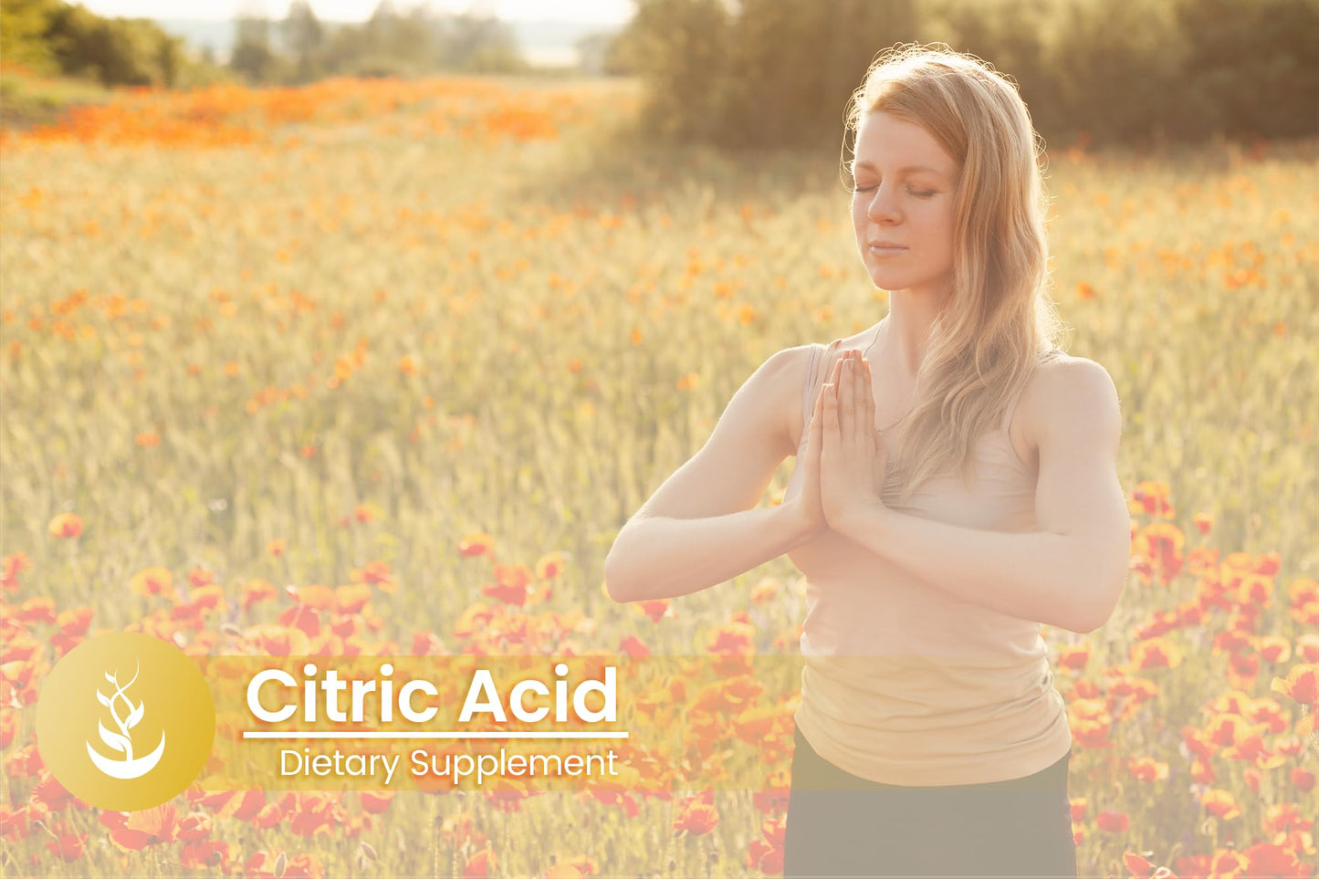 PURE ORIGINAL INGREDIENTS Citric Acid Capsules 100 Capsules