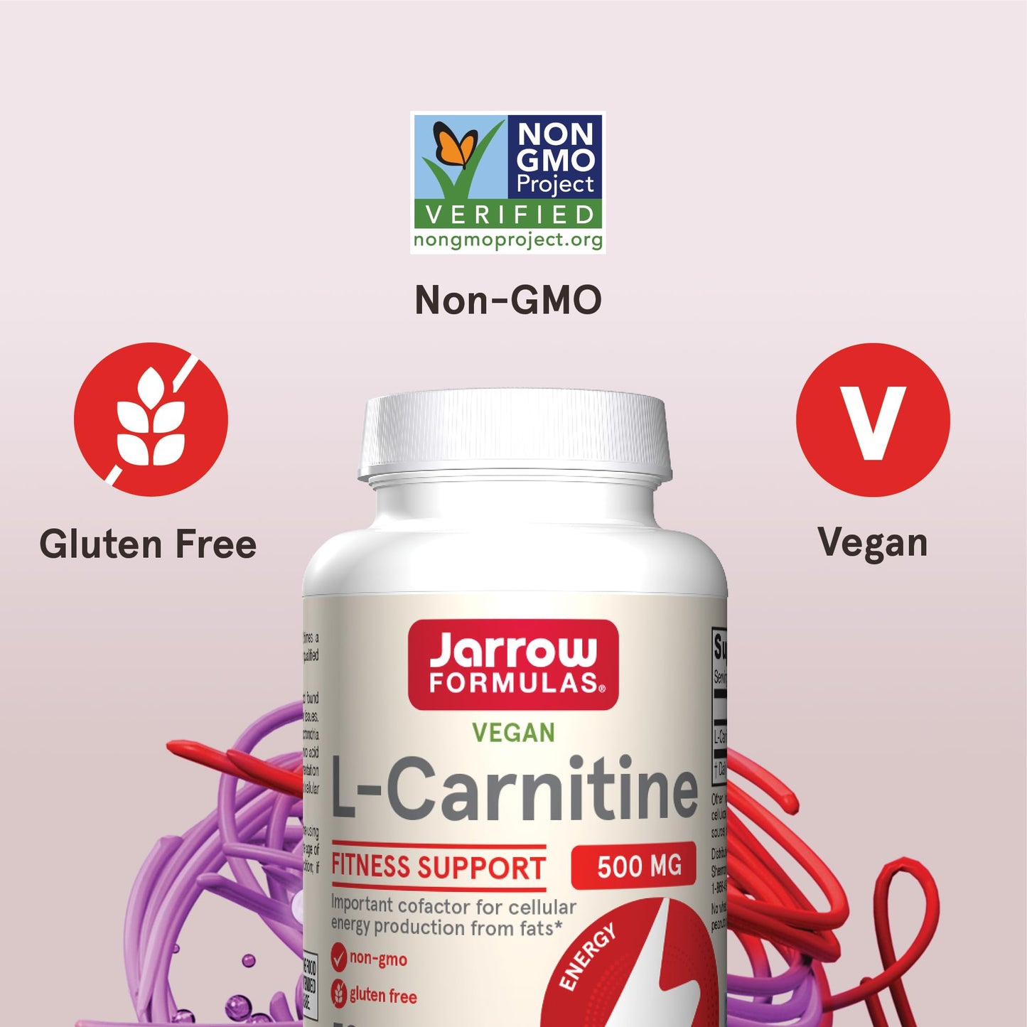 Jarrow Formulas L-Carnitine 500 mg Capsules 50 Count