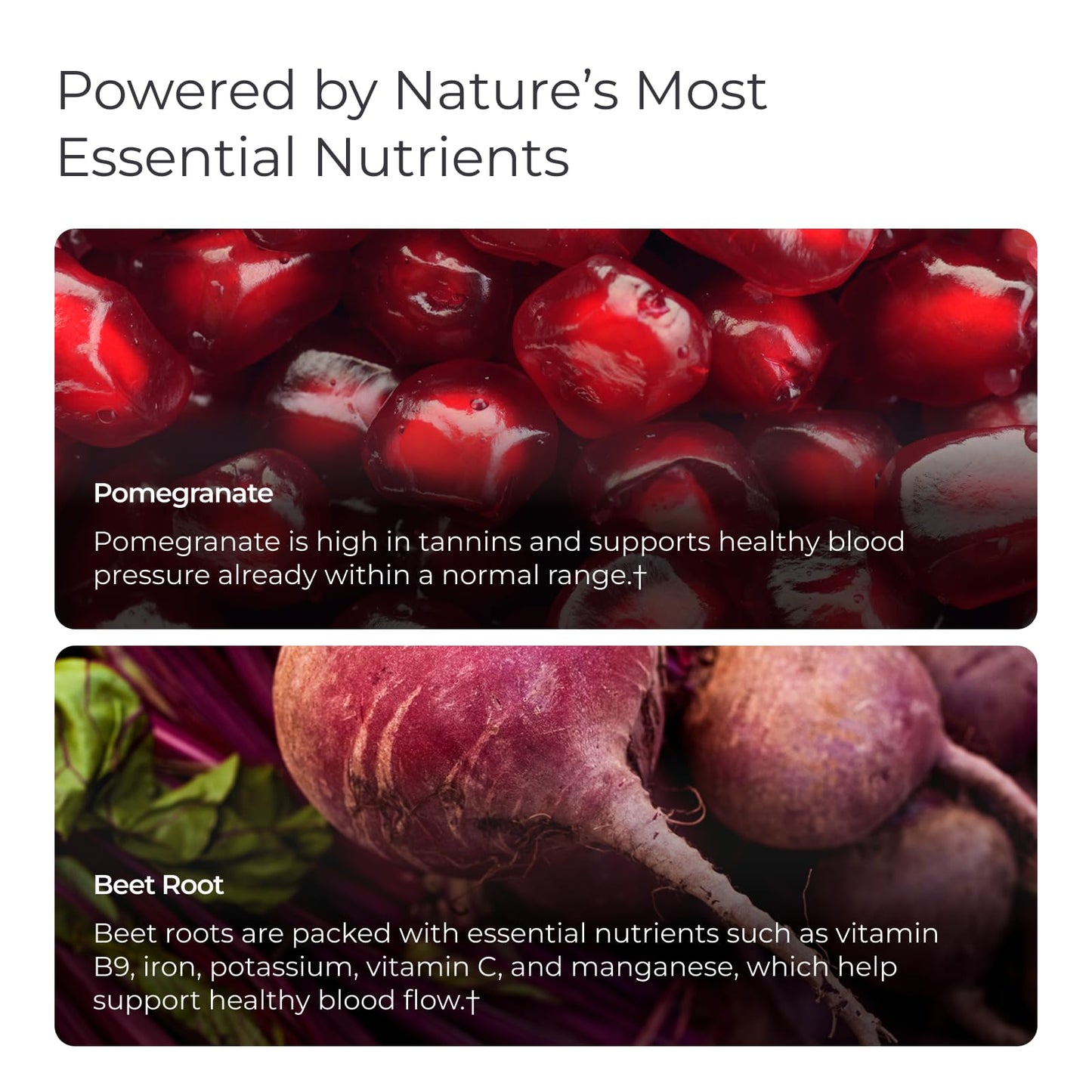 Livingood Daily Blood Pressure Support, Heart Health Supplement with Beet Root, Pomegranate, Hawthorn, Magnesium & Taurine, Cardiovascular Support Formula, Vegan, 120 Capsules