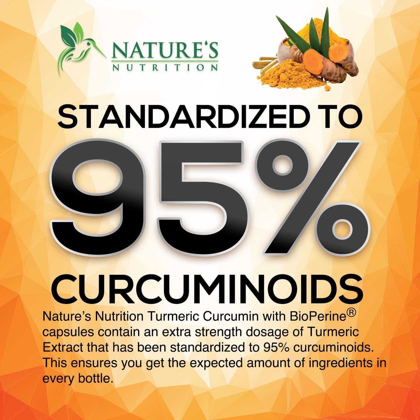 Nature's Nutrition Turmeric Curcumin Supplement Capsule 240 Count